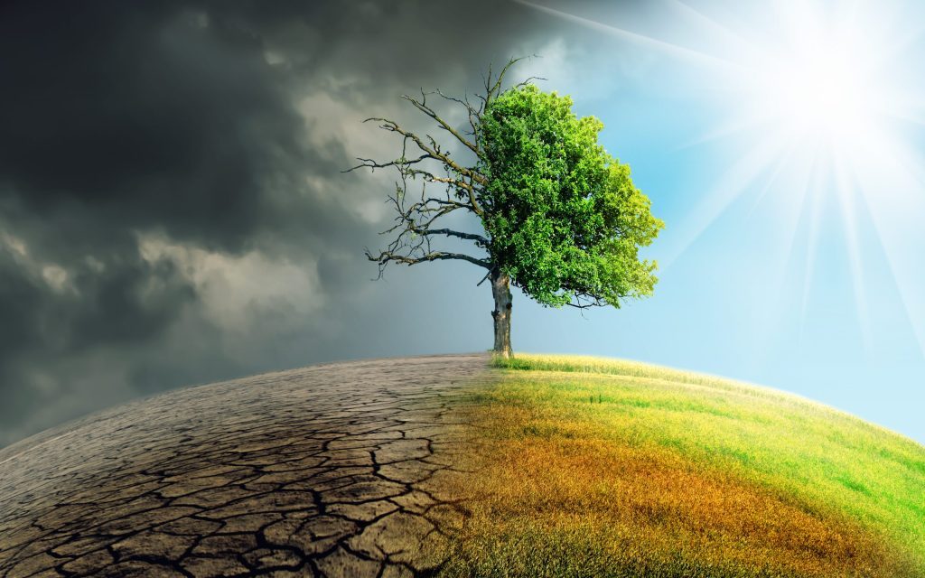 Climate Change and Insurance: Adapting to New Risks